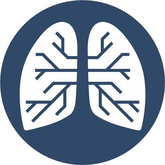 Сайберия Логотип.jpeg